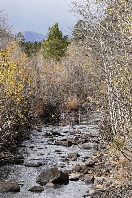 South St. Vrain