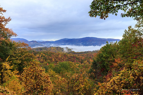 canon 6d 1635 l f4 landscape fall autumn leaves foliage great smoky mountains national park harmon caldwell morning nature outdoor