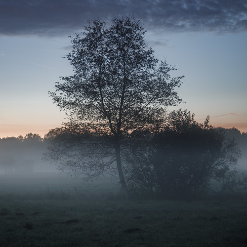 lanscape tree clouds sun beautiful nature calm silent soft outdoor home bavaria sunrise morning mist