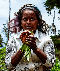 Sri Lankan woman 2
