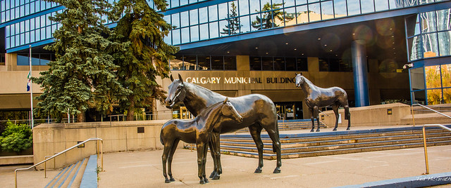 2020 - BC-AB Road Trip - 80 of 214 - Calgary, Alberta - Family of Horses