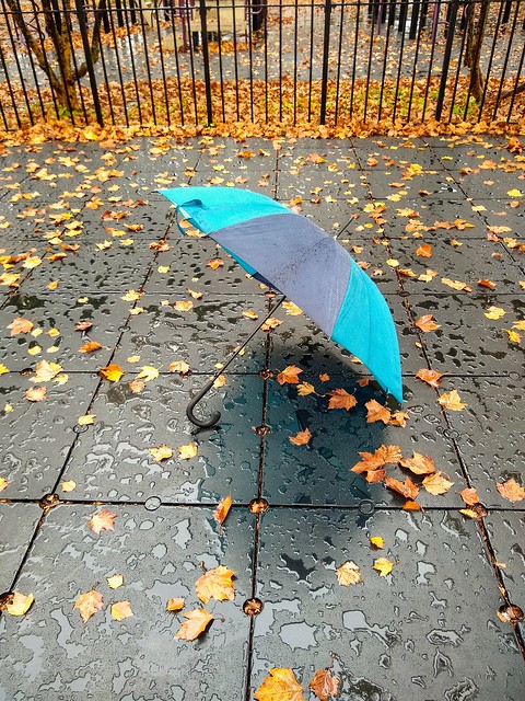 Umbrella - ella - ella. On Explore - October 27, 2020.