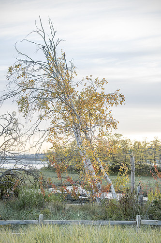 Lean into Fall | by ScarletBlack