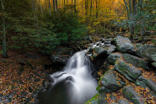 canon 6d 1635 l f4 landscape great smoky mountains national park gsmnp tremont lynn camp prong cascade long exposure water autumn fall middle trail color leaves leaf nature outdoor