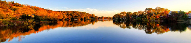 Autumn late evening reflections in the Trent River