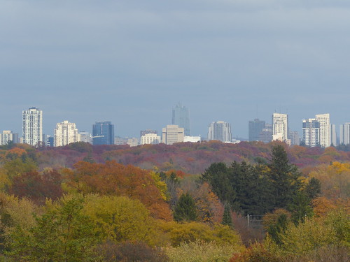 london ontario forestcity city urban downtown view zoom distant skyline buildings centre
