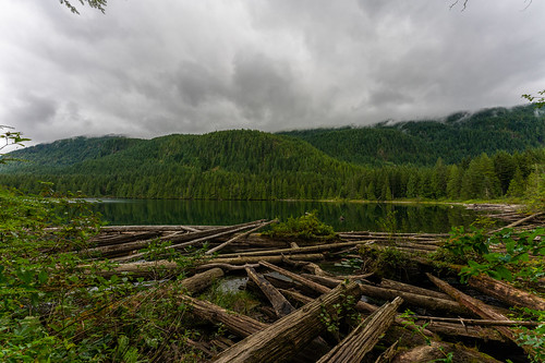 1424 1424mm1424f28 a7 a7r3 a7riii cloud clouds explore exploring forest forests fullframe hike hiking lake landscape mountain mountains nature northamerica northwest outdoor outdoors pnw pacificnorthwest plant plants reflection reflections rural sigma sigma1424f28dgdnart sigma1424mm28art sigmaart sky snohomishcounty sony sonya7r3 summer tourism travel tree trees usa uwa ultrawideangle unitedstates unitedstatesofamerica wa washington washingtonstate water wide wideangle wood woods