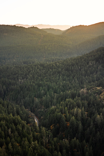 Mount Finlayson Vancouver Island Canada by Victor Carrera, hiking mount forest sunset horizon day happy travelphotography expore photography lovephotography wo