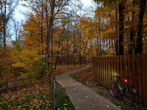 michigan leaves autumn fall woods scenery bike ride lights morning misty rain cloudy commute fence path