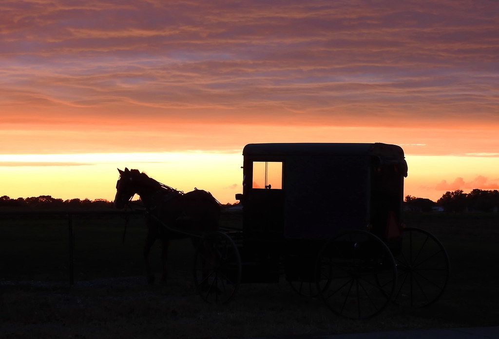 Horse & buggy sunset