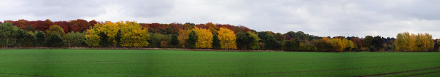 Herbst Panorama