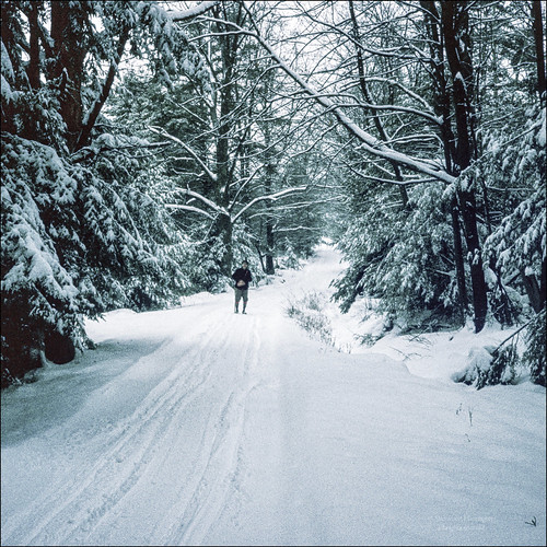 forest snow road 1975 chenangocounty newyorkstate