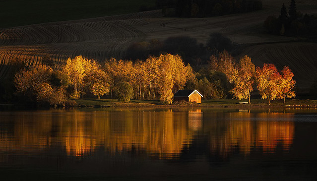The golden, dying sunlight of autumn