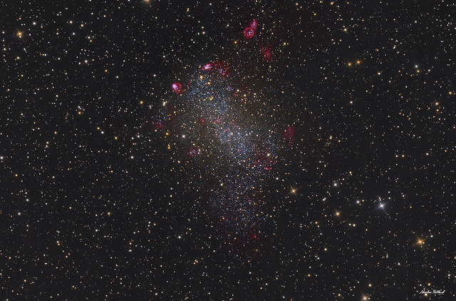 Barnard's Galaxy