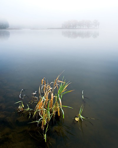 Losing sight by konradpoland, Focus stack - 2 frameslandscape mist fog autumn reflection nikon d7500 sigma outdoor naturephotograp