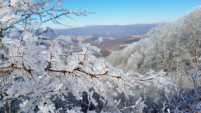 A branch covered in icicles with a mountain overlook out of focus in the background and a bright blue sky above 
