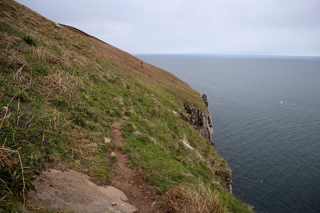 The coast south of Berriedale