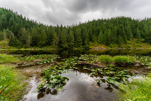 1424 1424mm1424f28 a7 a7r3 a7riii cloud clouds explore exploring forest forests fullframe hike hiking lake landscape nature northamerica northwest outdoor outdoors pnw pacificnorthwest plant plants reflection reflections rural sigma sigma1424f28dgdnart sigma1424mm28art sigmaart sky snohomishcounty sony sonya7r3 summer tourism travel tree trees usa uwa ultrawideangle unitedstates unitedstatesofamerica wa washington washingtonstate water wide wideangle wood woods