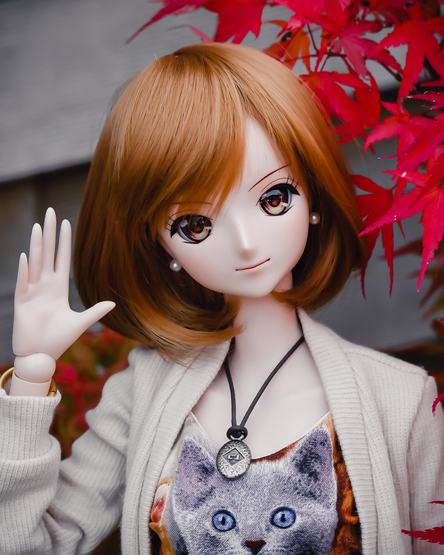  [Smartdoll Nami ] Autumn is here p3 - Page 3 50539816778_dc2b12997a_c