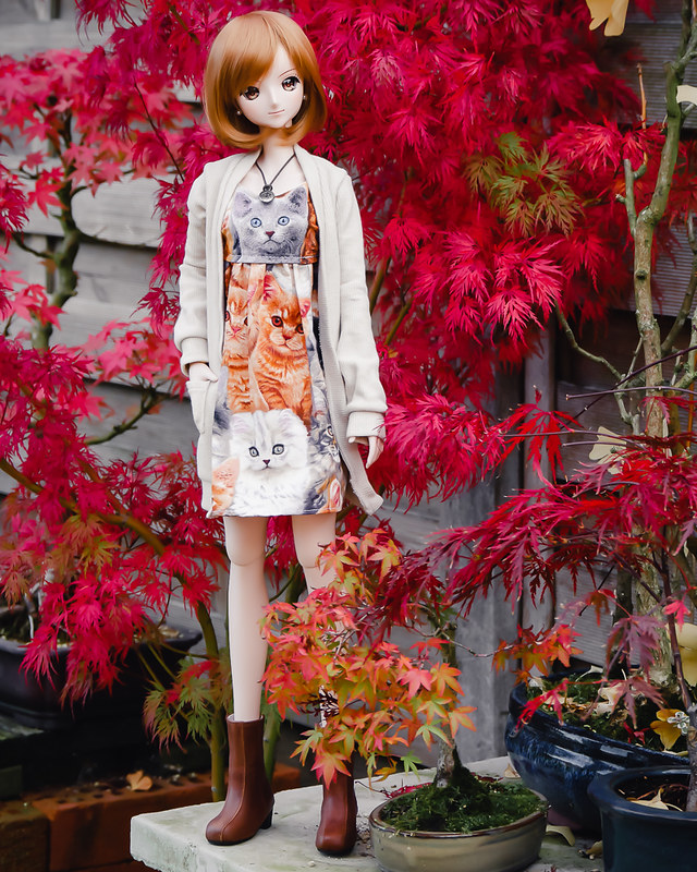  [Smartdoll Nami ] Autumn is here p3 - Page 3 50539817748_cd10dc6531_c