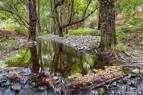 landscape forest nature natgeo natgeotag naturelovers canon canonphotography canoneos6dmkii outdoor river autumn cyprus paphos