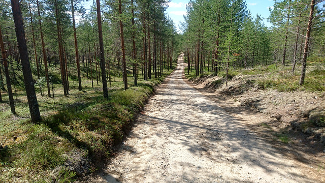 A road in the Törmänkangas area (Sotkamo, 20200628)