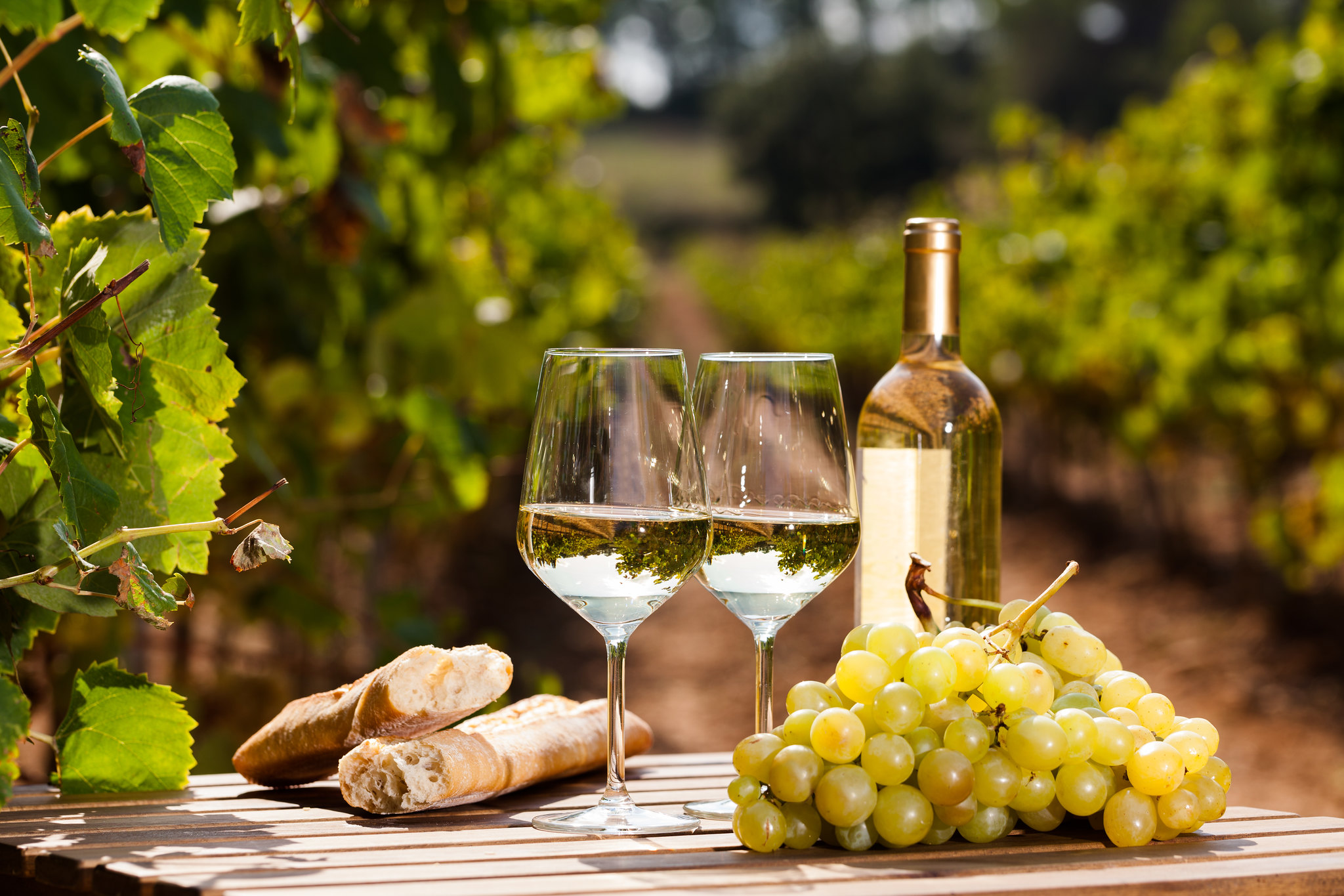 white wine bottle and glasses in vineyard