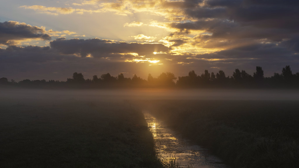 Muestra de imagen de la Nikon D7500: mañana con niebla en un prado