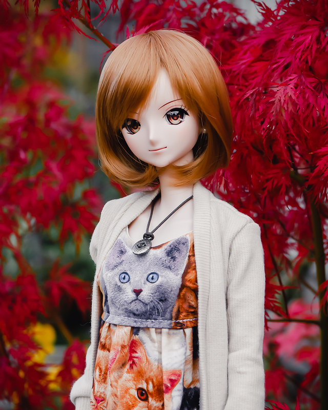  [Smartdoll Nami ] Autumn is here p3 - Page 3 50540684517_fc1e482521_c
