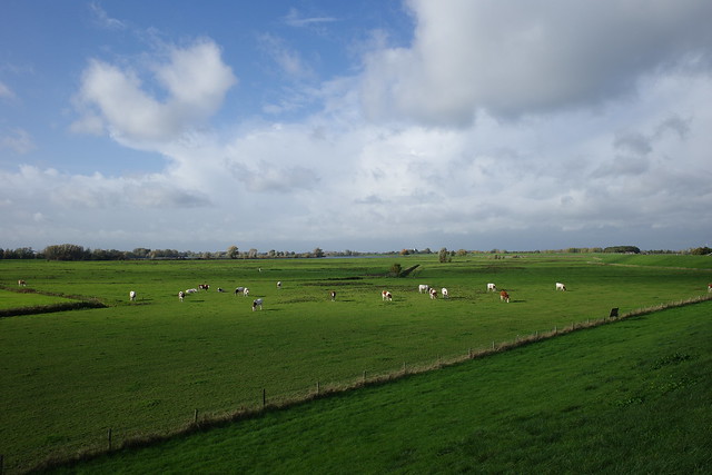 Like an old Dutch landscape painting