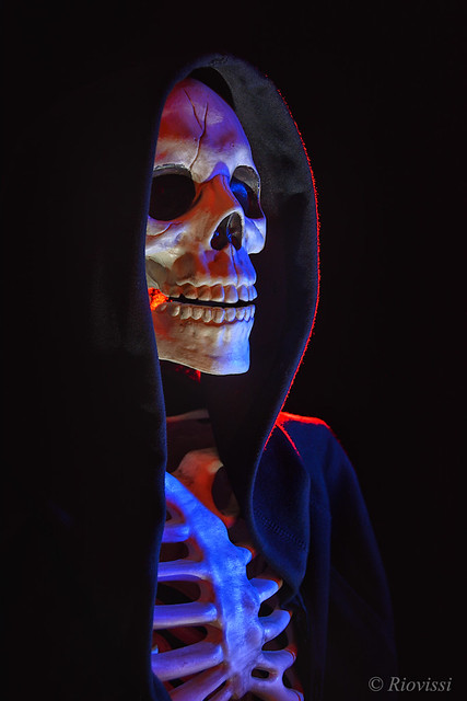 Skeleton With Hood 2