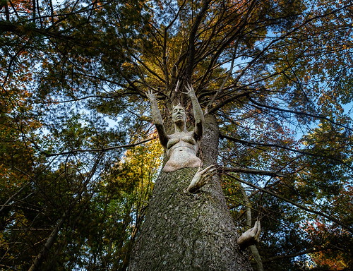 sculpture arbre saintpiedeguire québec canada lachairdelarbre édithcroft art mouvementessarts