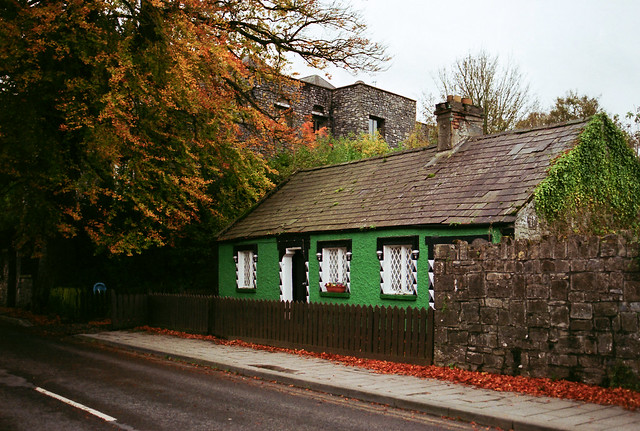 The Green Cottage in Autumn