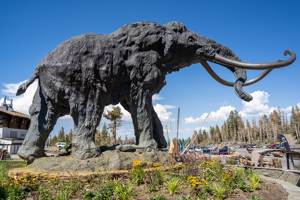 Mammoth Lakes California July 12 2019 The Famous Mamm Flickr