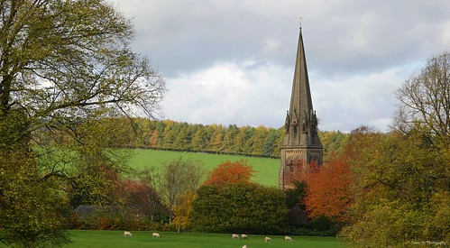 stpeterschurch edensor bakewell derbyshire church gradeilistedchurch gradeilistedbuilding grade1listedbuilding georgegilbertscott historicengland landscape countryside landscapephotography tree trees woodland forest outside outdoors autumn autumn2020 autumnal autumnleaves autumncolours season leaves rural tranquillity tranquil colour colourful nature naturephotography beauty foliage scenery picturesque october october2020 flora woodlandtrust derbyshiredales peakdistrict peakdistrictnationalpark derby sonyrx10iv sonyflickraward