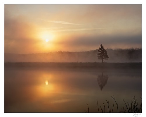 autumn dawn fog igersbuffalo madewithmefoto mist morning october on1pics pine pond sunrise tree on1photos nisifilters dxophotolab