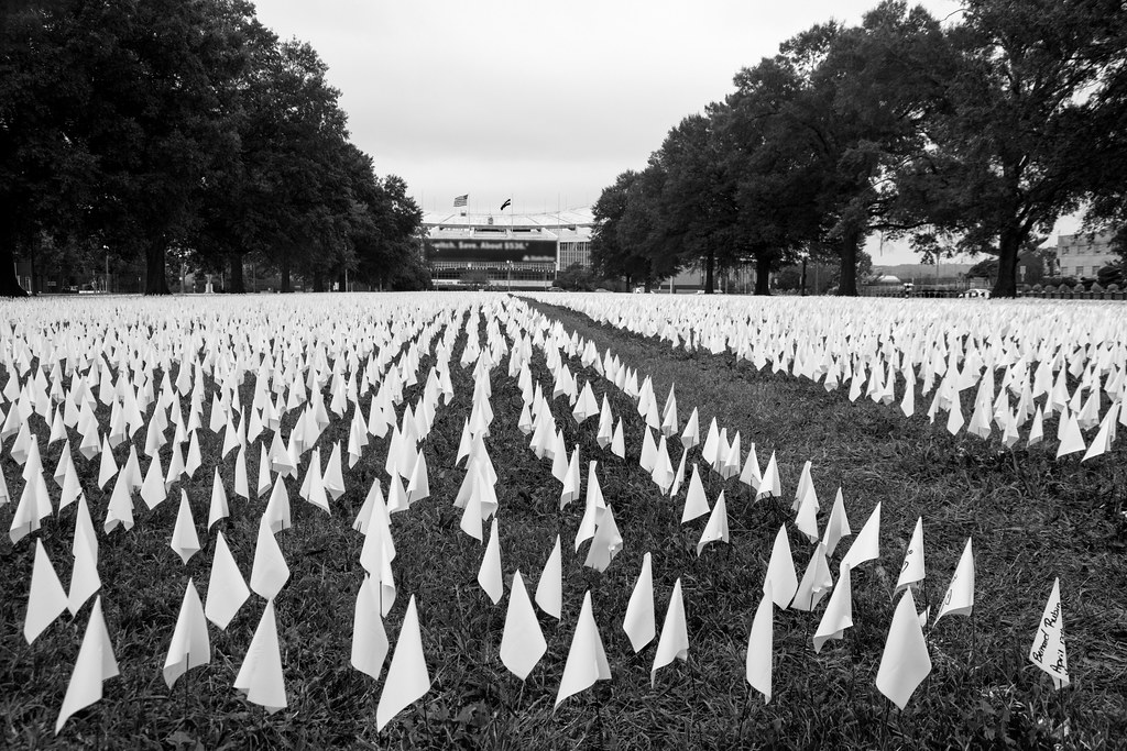 'A Field of Small Flags' -- Washington (DC) Memorial to the U.S. Victims of COVID-19 October 2020