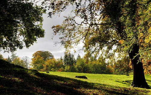 yorkshire harewood autumnsunlight autumnleaves autumn landscape englishcountryside countryside photomatix