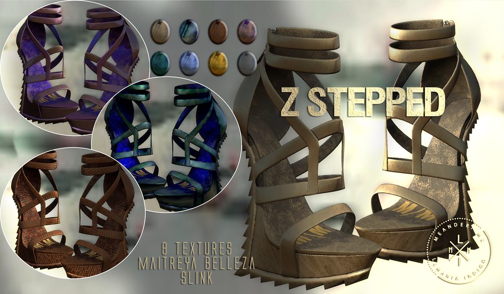 Z Stepped Shoes