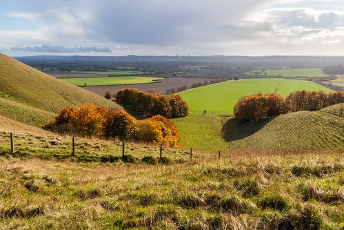 vale valley pewsey downs wiltshire landscape farming fence hill tree autumn grass sky hff ll l