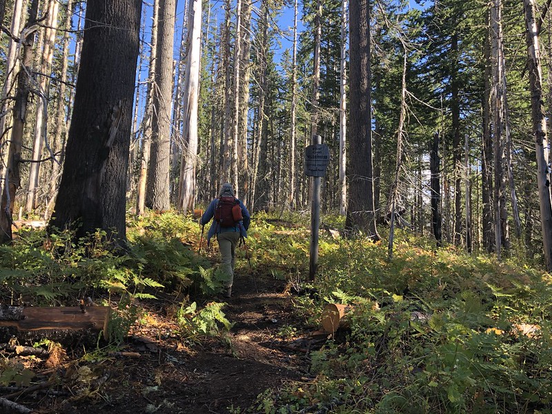 Stagman Ridge Trail