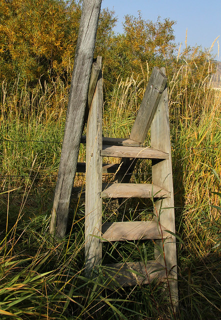Fence and Stile