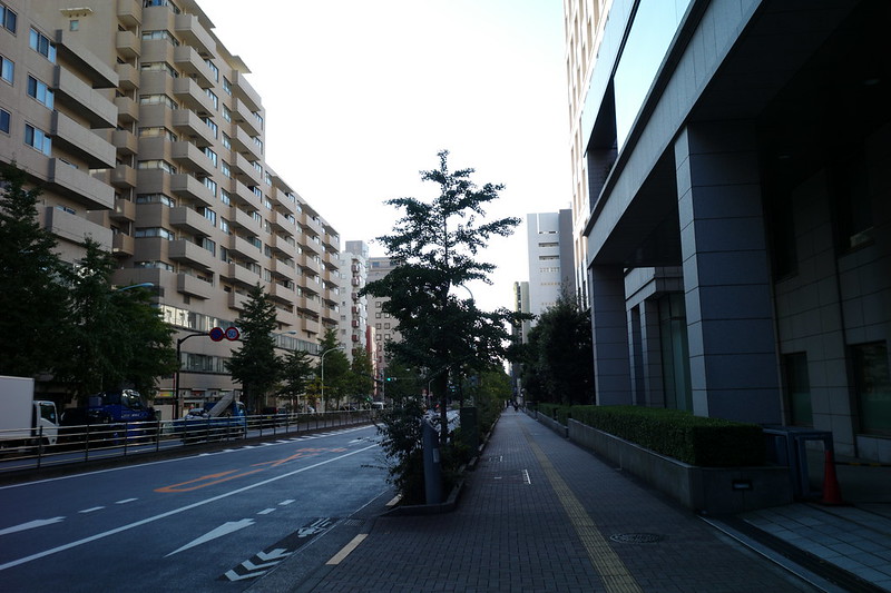 31069東京暗歩弦巻川 首都高5合池袋線沿いに路がないので迂回 音羽通りに出る
