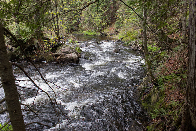 Crystal Creek, Hiawatha Highlands Conservation Area, Sault Ste. Marie, Ontario, Canada