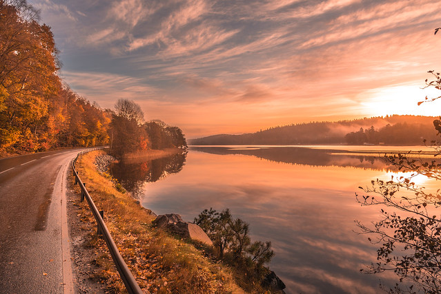 Autumn Road