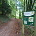 Workman's Wood, Sheepscombe<br /><a href='https://www.flickr.com/photos/martin_tod/50550837922'>See original image on Flickr</a>