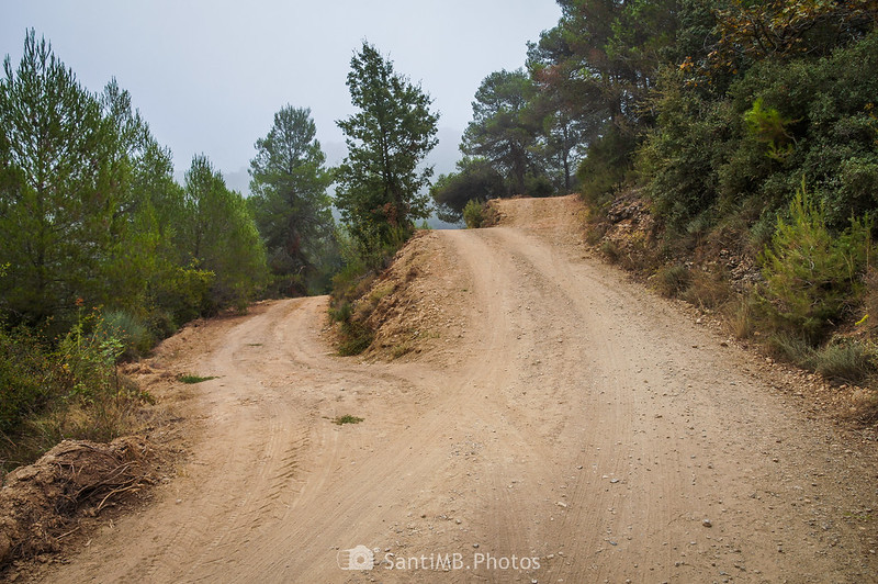 Trifurcación en el camino del Barranc de Viern