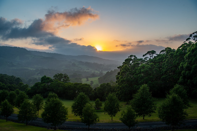 Sunrise in the Berry, NSW