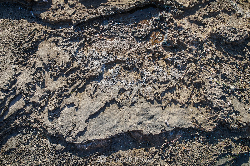 Textura de la roca de la playa cerca de El Molar