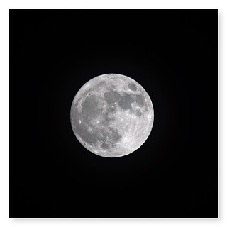 Full Moon | by Godfrey DiGiorgi